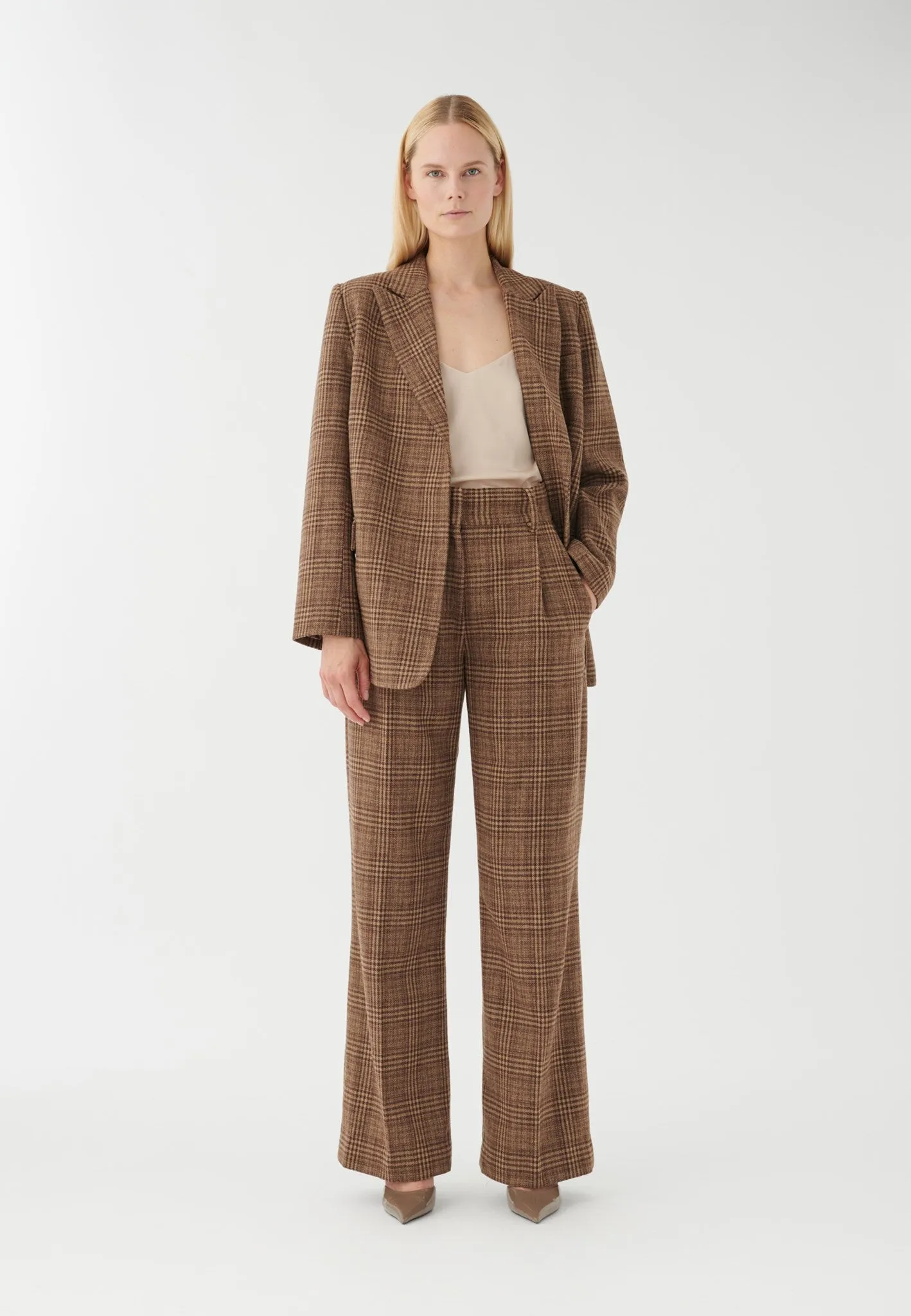 CamissoDEA-Windsor Check